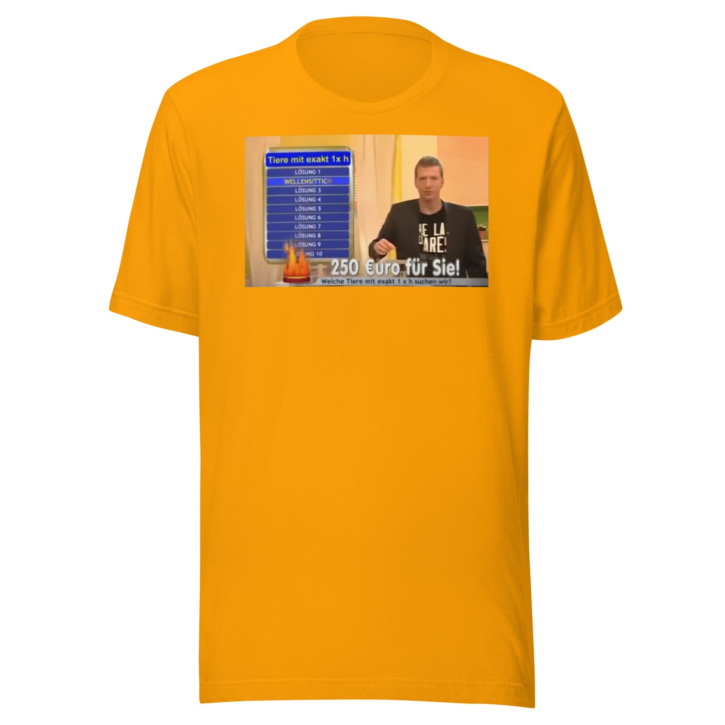 GRÖSSTER TV-AUSRASTER "Erkenntnis" - T-Shirt
